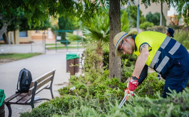 El Tribunal Administrativo de Recursos anula la adjudicación de parte del contrato de jardinería de Roquetas