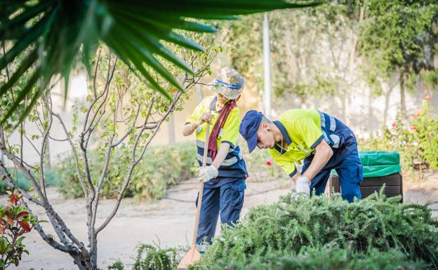Quince jóvenes desempleados participan en un taller de empleo sobre jardinería y viveros