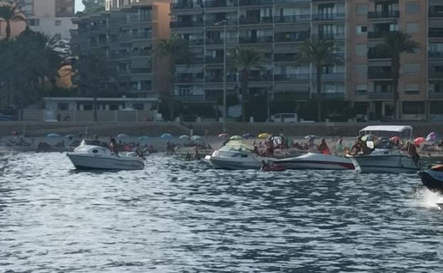 La proliferación de barcos de recreo sobre la posidonia desata las alarmas