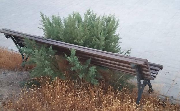 IU dice que lleva 12 años denunciando el abandono de la rambla de Las Hortichuelas sin que el PP haga nada
