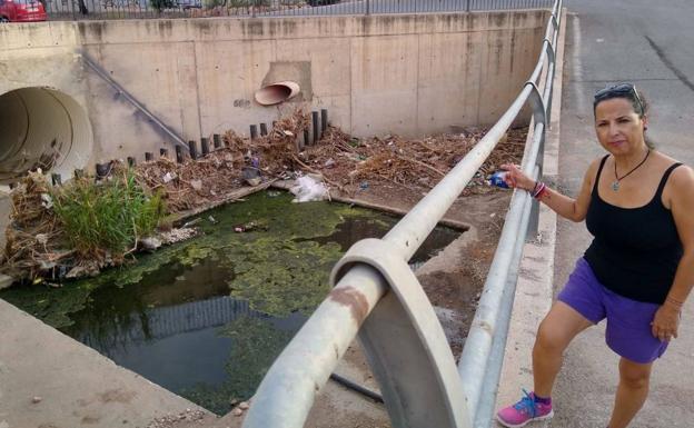 IU denuncia el abandono de las ramblas y pide actuaciones para prevenir inundaciones