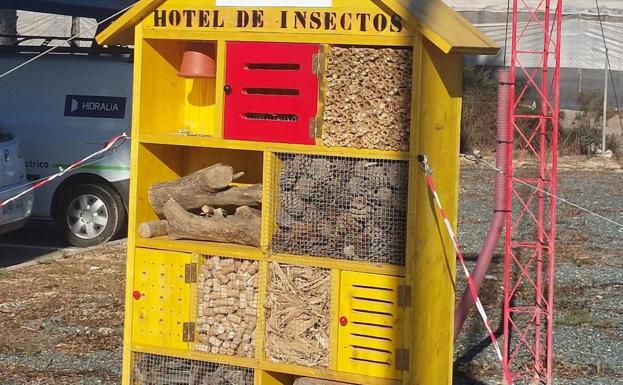 Insectos, aves y murciélagos ya tienen un refugio en la depuradora de Roquetas