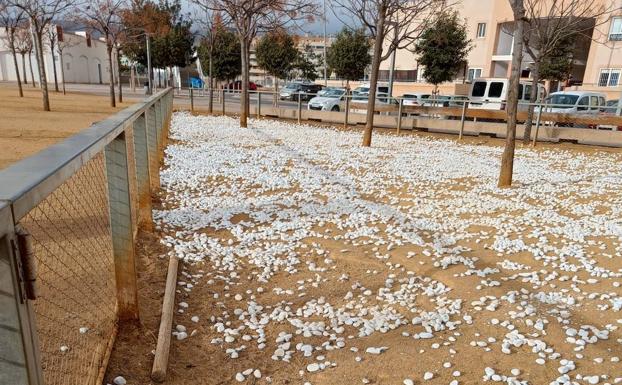 La última medida del Ayuntamiento de Roquetas para los perros levanta controversia