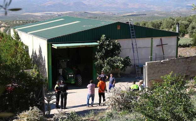 Demolición por mandato judicial de una nave agrícola situada en la ladera sur