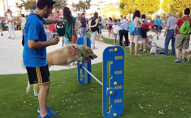 Un espacio público pensado para correr y jugar a cuatro patas