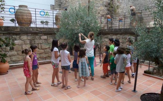 Nuevos cursos de verano en el centro ‘Olivar y Aceite’ para los más pequeños