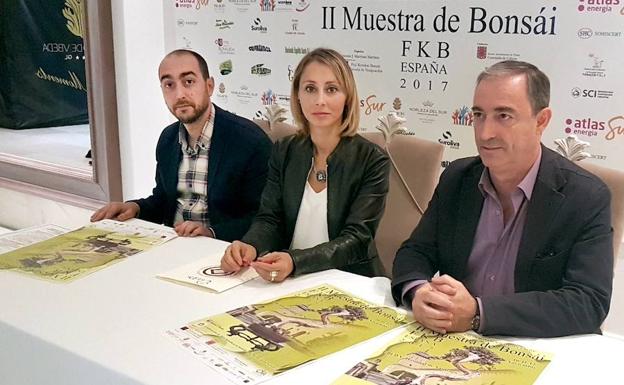 El Hospital de Santiago reunirá todo lo relacionado con el arte del bonsái