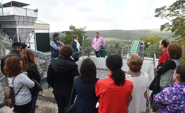 Buena respuesta al programa de visitas a almazaras promovido por el Centro Olivar y Aceite