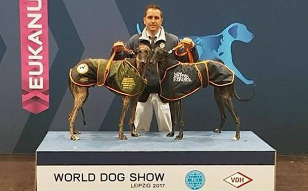Una galga criada en Úbeda, campeona en el mayor acontecimiento canino del mundo