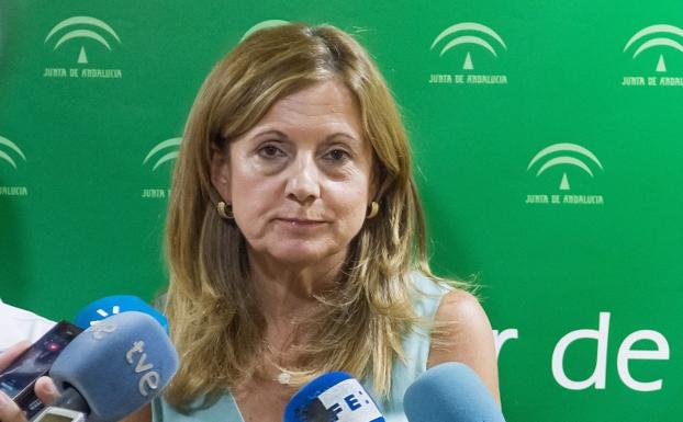 Salud niega que el caso de Úbeda "se deba a falta de profesionales o al caos"