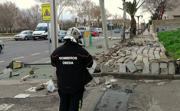 Desplome de un muro y caída de un árbol en Úbeda por las fuertes rachas de viento