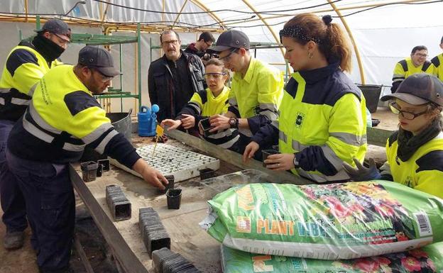 Ocho personas con diferentes grados de discapacidad trabajan en el vivero municipal de Úbeda