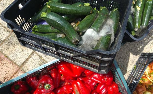 Incautados 300 kilos de fruta y verdura en mal estado en el mercadillo de Úbeda