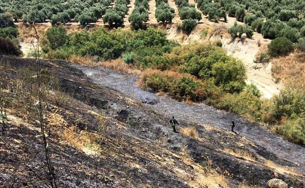 Los Bomberos de Úbeda tuvieron que actuar en dos incendios registrados en el entorno