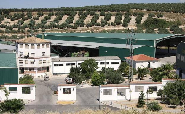 La Asociación de Afectados de la Sección Almazara de la Unión busca recuperar la confianza de los cosecheros