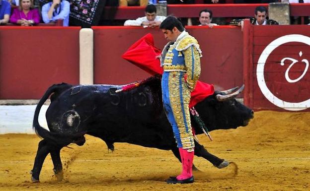 Octavio Chacón y Miguel Ángel Perera obtienen el Trofeo Lagartijo a la mejor faena de la pasada feria taurina