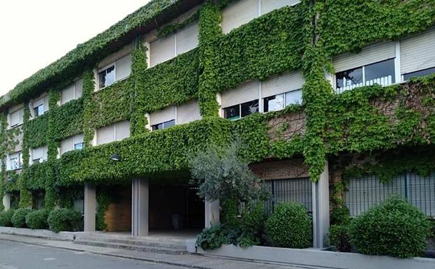 Convocan una concentración en el Juan Pasquau ante la pérdida de una unidad de Infantil
