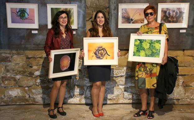 Diminutos detalles convertidos en arte gracias al microscopio