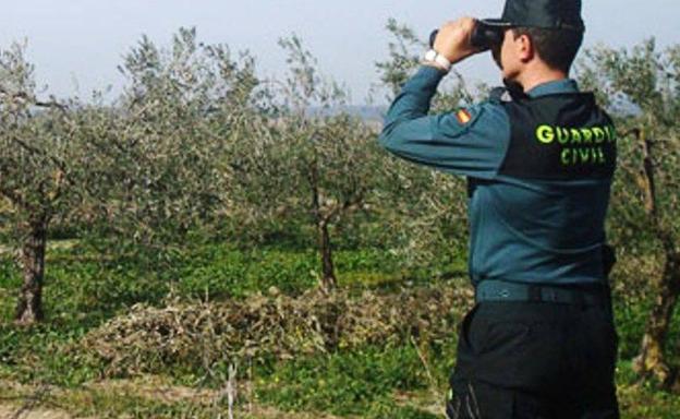 Detenido por varios robos en viviendas de zonas residenciales ubetenses