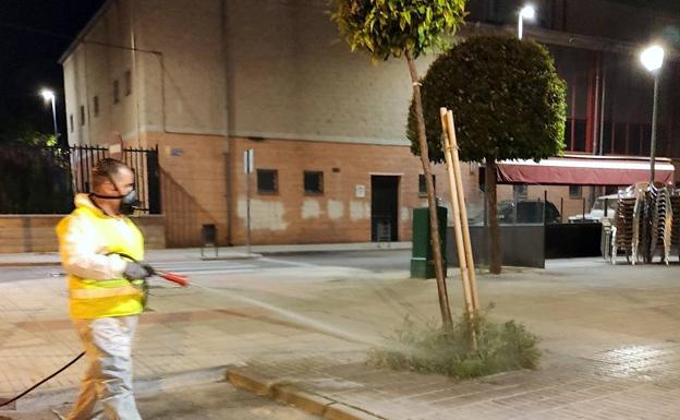 Tratamiento con fitosanitarios y herbicidas en los parques y jardines de la ciudad