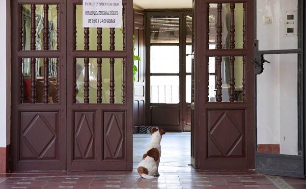 El Ayuntamiento amplía a todas las guarderías la posibilidad de facilitar los trámites de matrícula