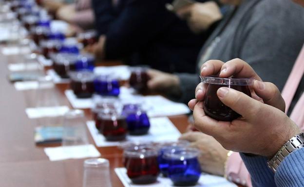 Primera macrocata online de aceites de oliva