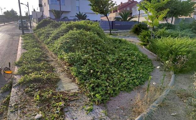 Labores de saneamiento, desbroce y jardinería en diferentes zonas de la ciudad y sus pedanías