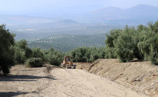 Comienzan las obras en el camino rural de Fuente Risas