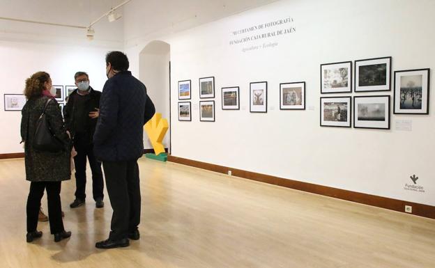 Fotografía, agricultura y ecología unidas en una exposición