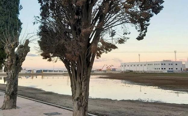 El PP denunció el «desastroso acabado» de las obras en el Camino del Cementerio