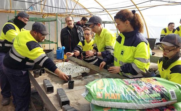Nueva edición del taller de mantenedor de jardines y espacios verdes