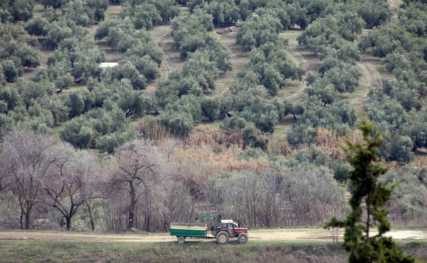 Medio millón de euros para la mejora de caminos rurales en 2021