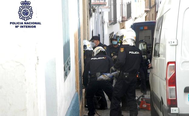 Desarticulado en Úbeda un grupo criminal dedicado a cultivar, tratar, distribuir y vender todo tipo de drogas