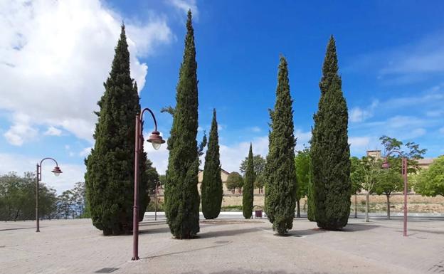 Mejoras en el entorno del parque de la avenida de la Constitución y regeneración de las zonas verdes