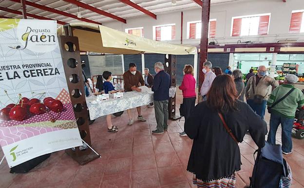 El Mercado de Abastos recibe este viernes la Muestra Provincial de la Cereza
