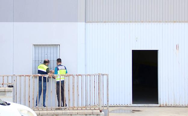 Localizada una plantación de marihuana en el polígono de Úbeda con alrededor de 800 plantas