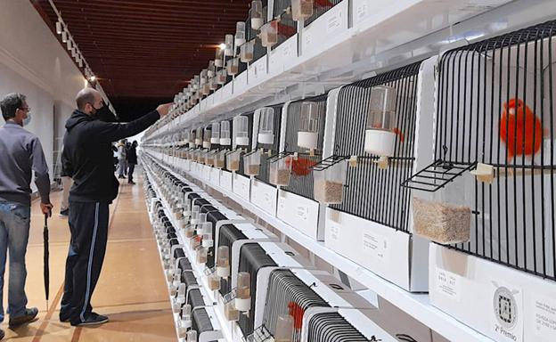 Más de mil ejemplares en una nueva edición del concurso ornitológico