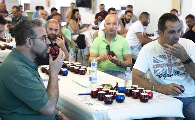 Clausurado el curso de obtención de aceites de oliva con dos jornadas presenciales de análisis sensorial