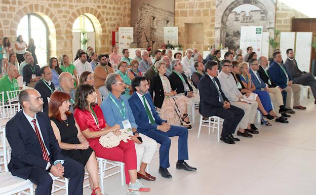 Salud, experiencia y gastronomía durante las Jornadas 'Virgen extra, patrimonio saludable'