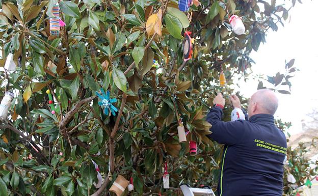 Adornos elaborados por alumnado decoran los árboles de la Ciudad de los Niños