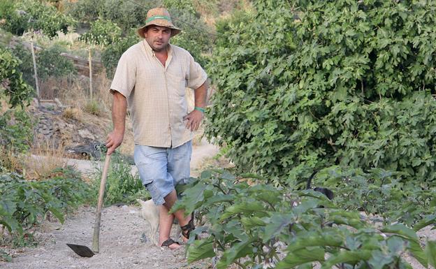 El rey de los bocadillos XXL de Úbeda será concursante de 'Supervivientes'