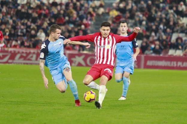 Los árboles y el bosque