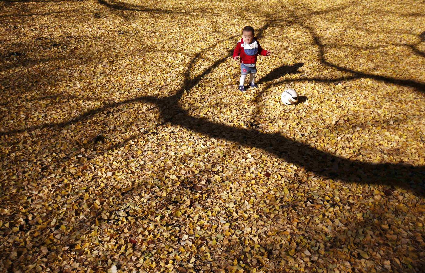 El miércoles en imágenes