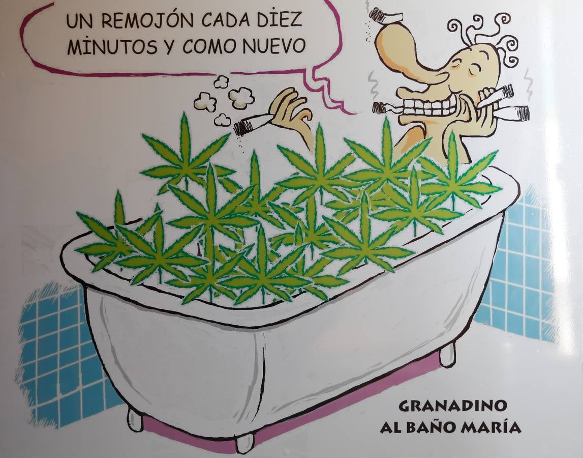 'Malafollá' en la plaza de Bibrambla