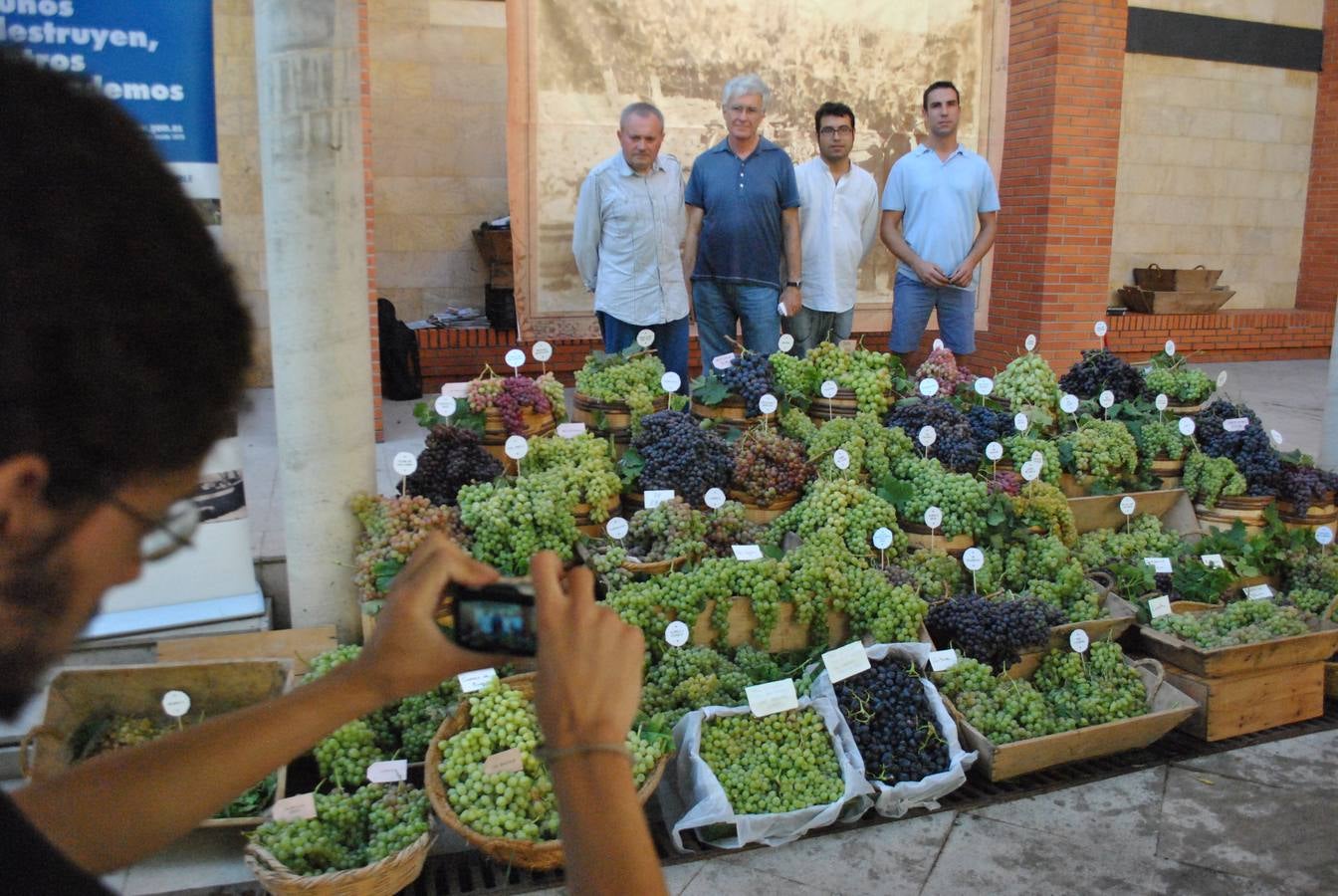 Días de vino y barcos