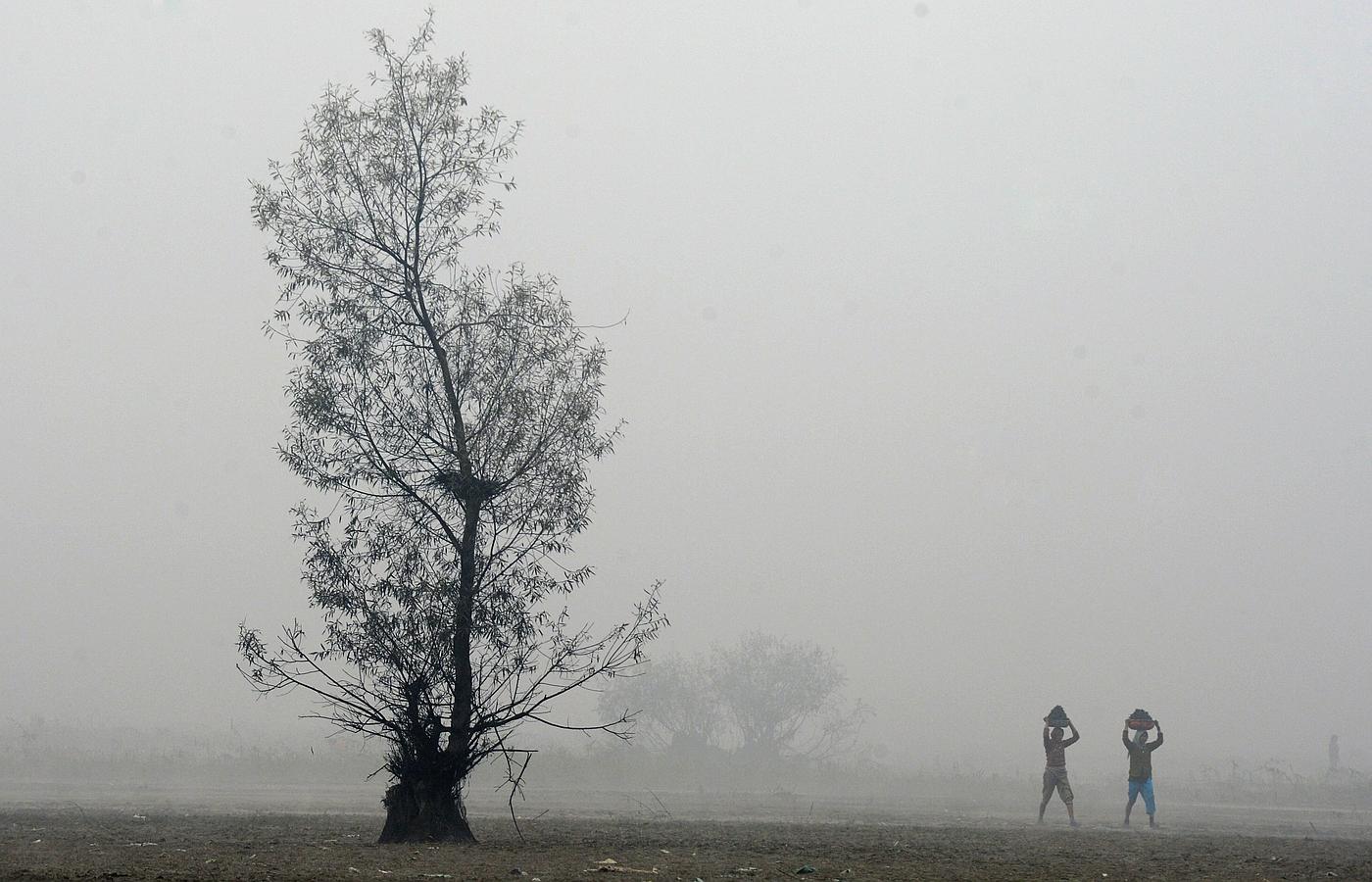 Las imágenes del día