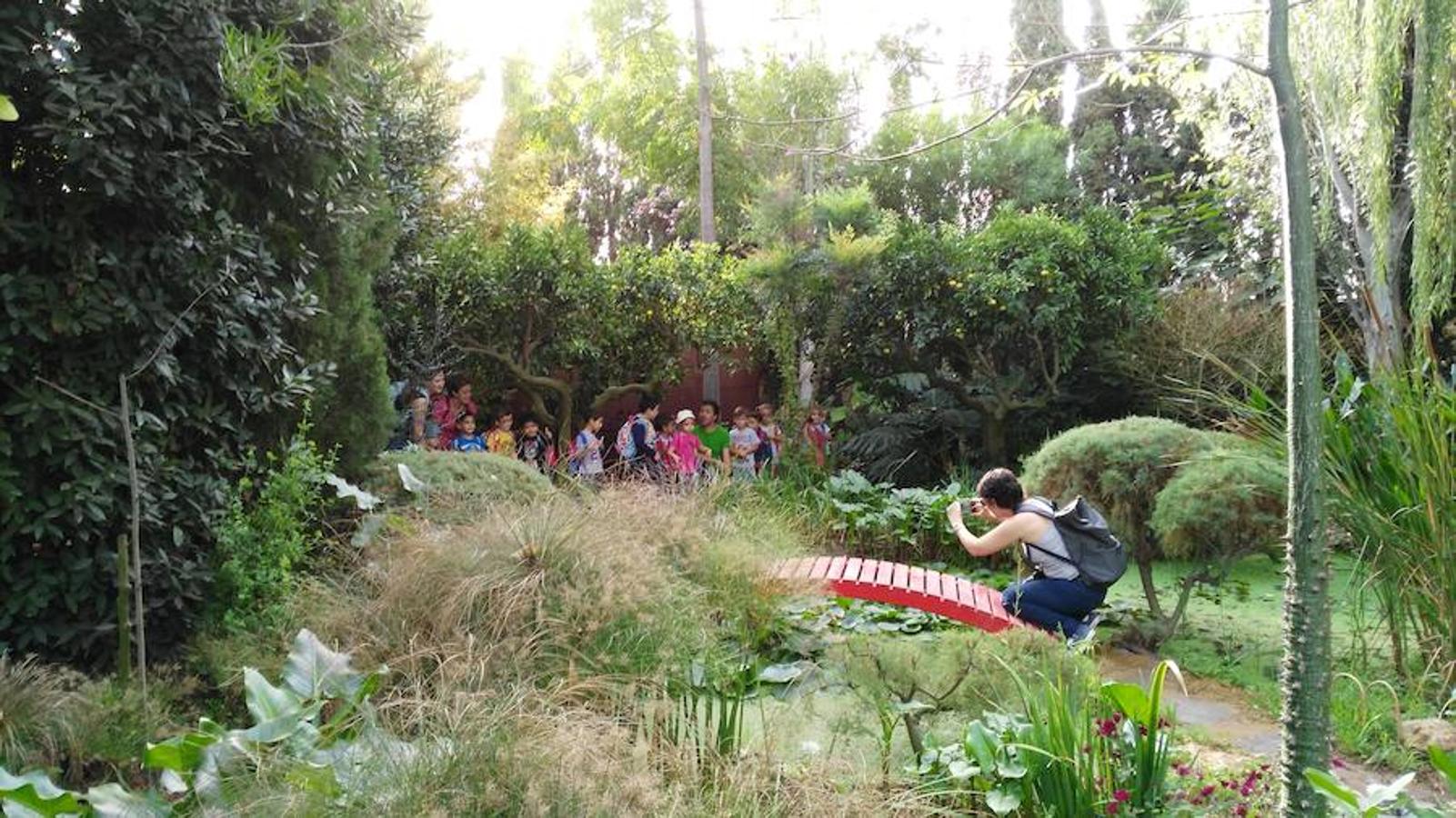 Los pequeños exploran el jardín botánico 'La Almunya del Sur'