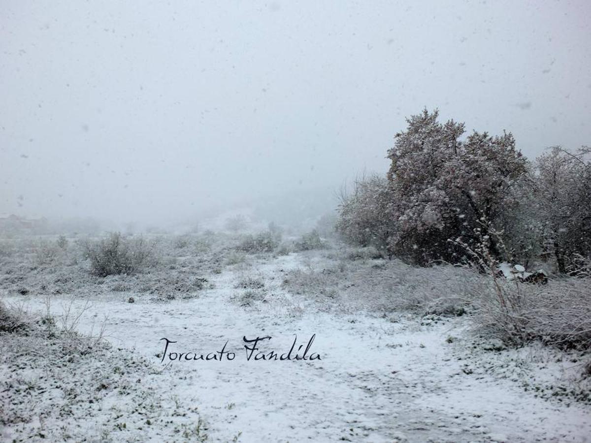 La comarca de Guadix queda cubierta de nieve