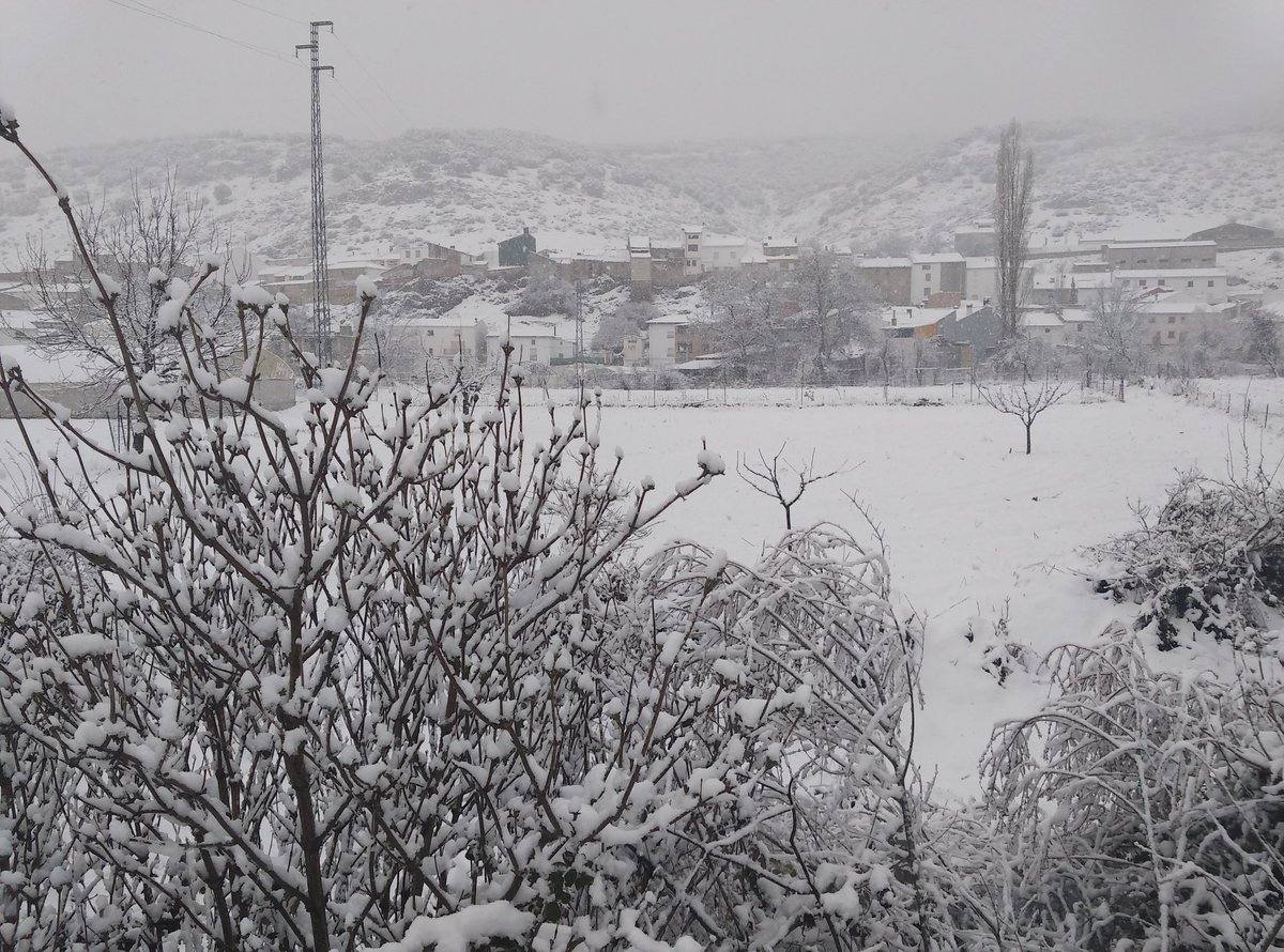 El viento hace estragos en Mengíbar y Mancha Real arrancando árboles