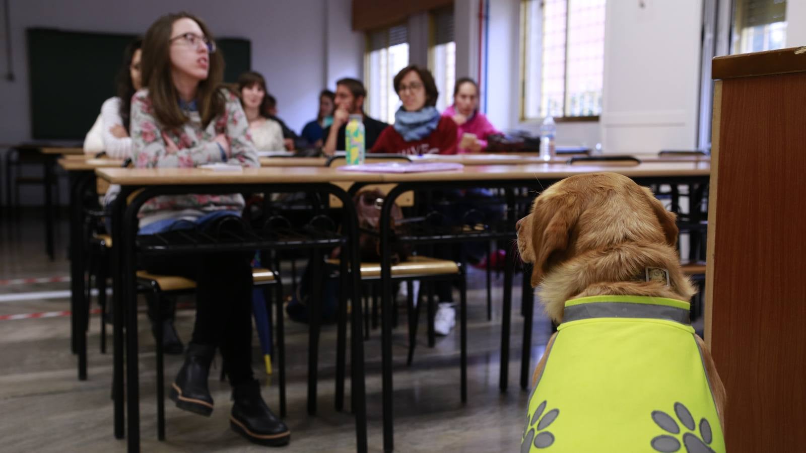 Los perros también 'enseñan' en la UGR